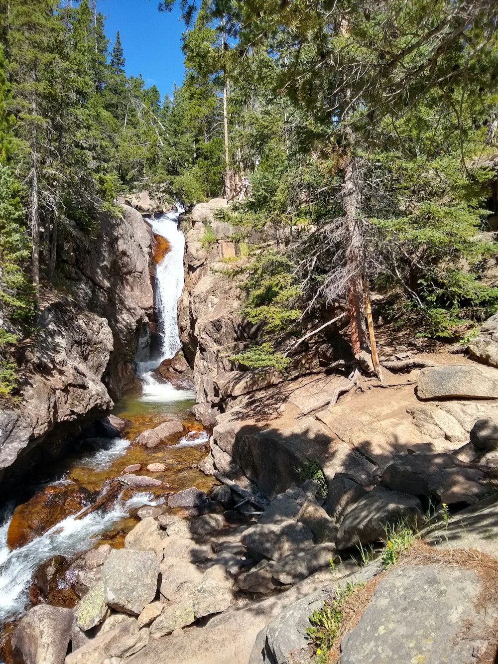 a small waterfall in the middle of a forest