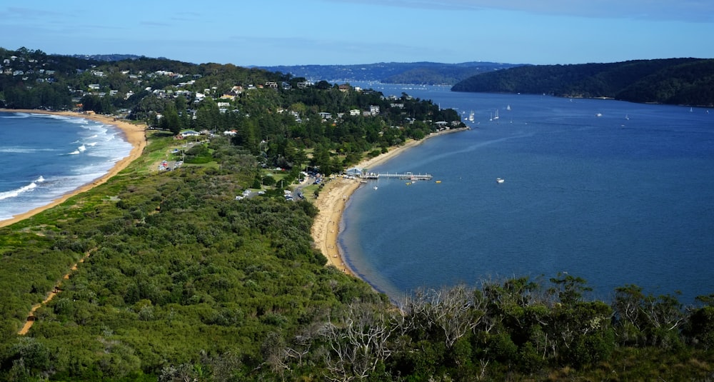 aerial view of green trees and blue sea during daytime