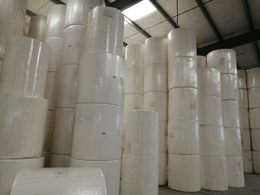 Raw Paper Rolls