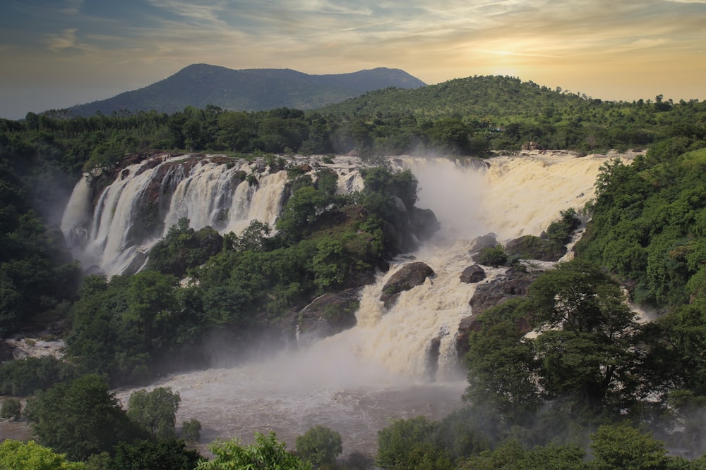 waterfalls in the middle of green trees