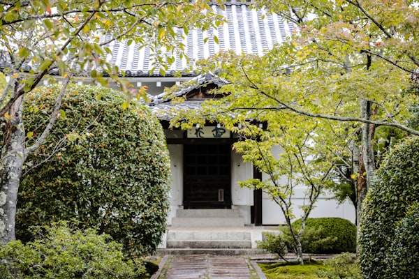 Überdachte Terrasse mit moderner Pergola
