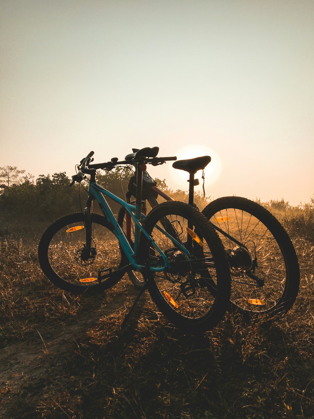 blue and black mountain bike on brown field during daytime