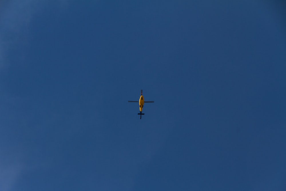 black bird flying under blue sky during daytime