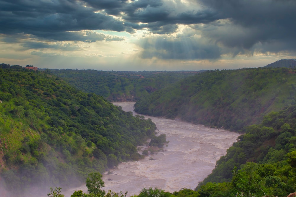 river between green trees under white clouds and blue sky during daytime