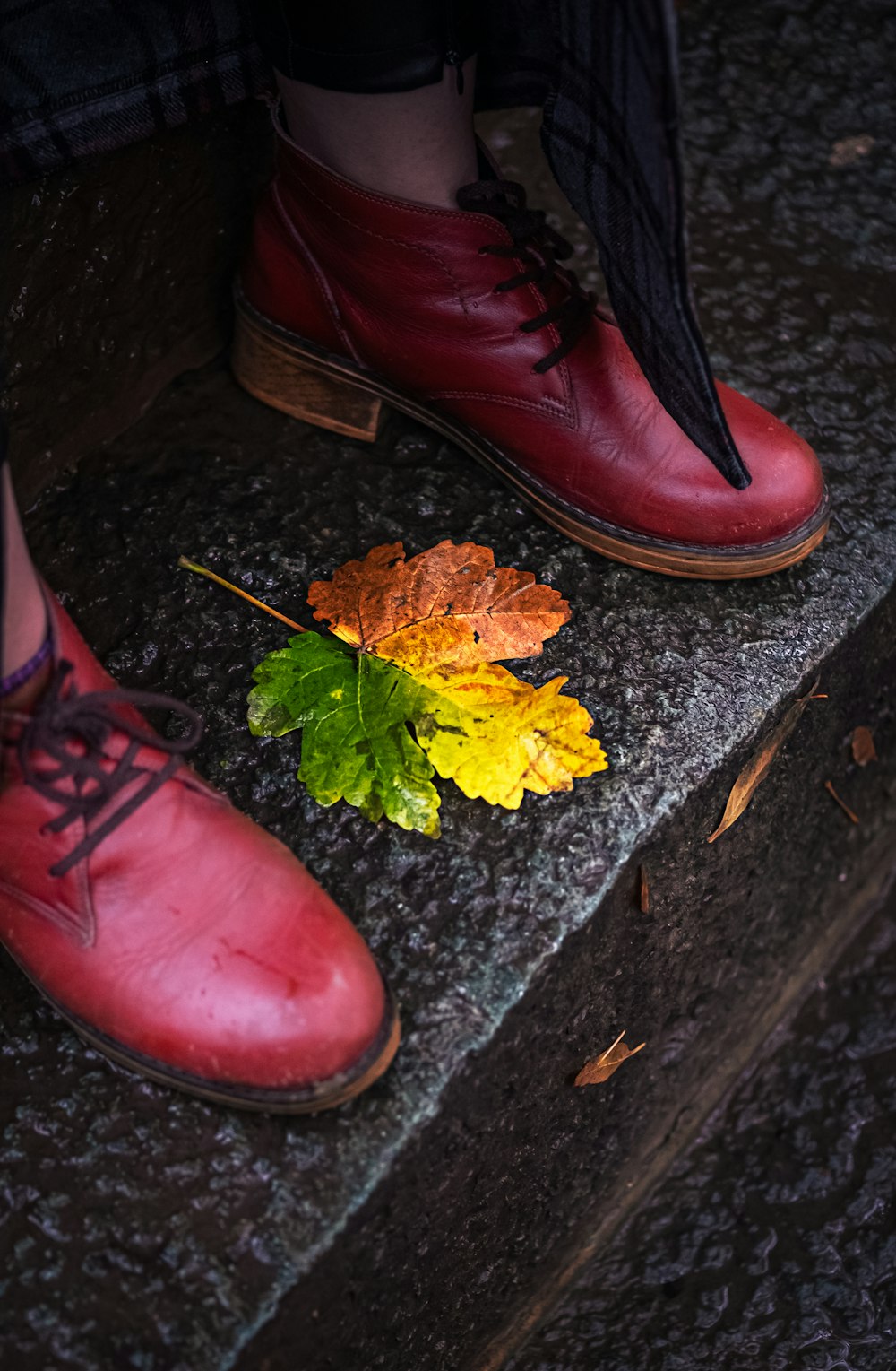 brown leather shoes beside yellow maple leaf