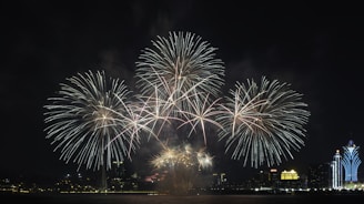 fireworks display during night time