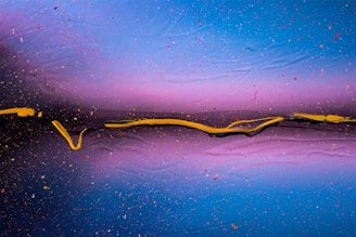 An abstract artwork featuring a dynamic mix of colors, including vibrant shades of blue and purple, with a striking yellow line meandering across the canvas. Small specks of various colors add texture and depth, creating a sense of energy and movement.