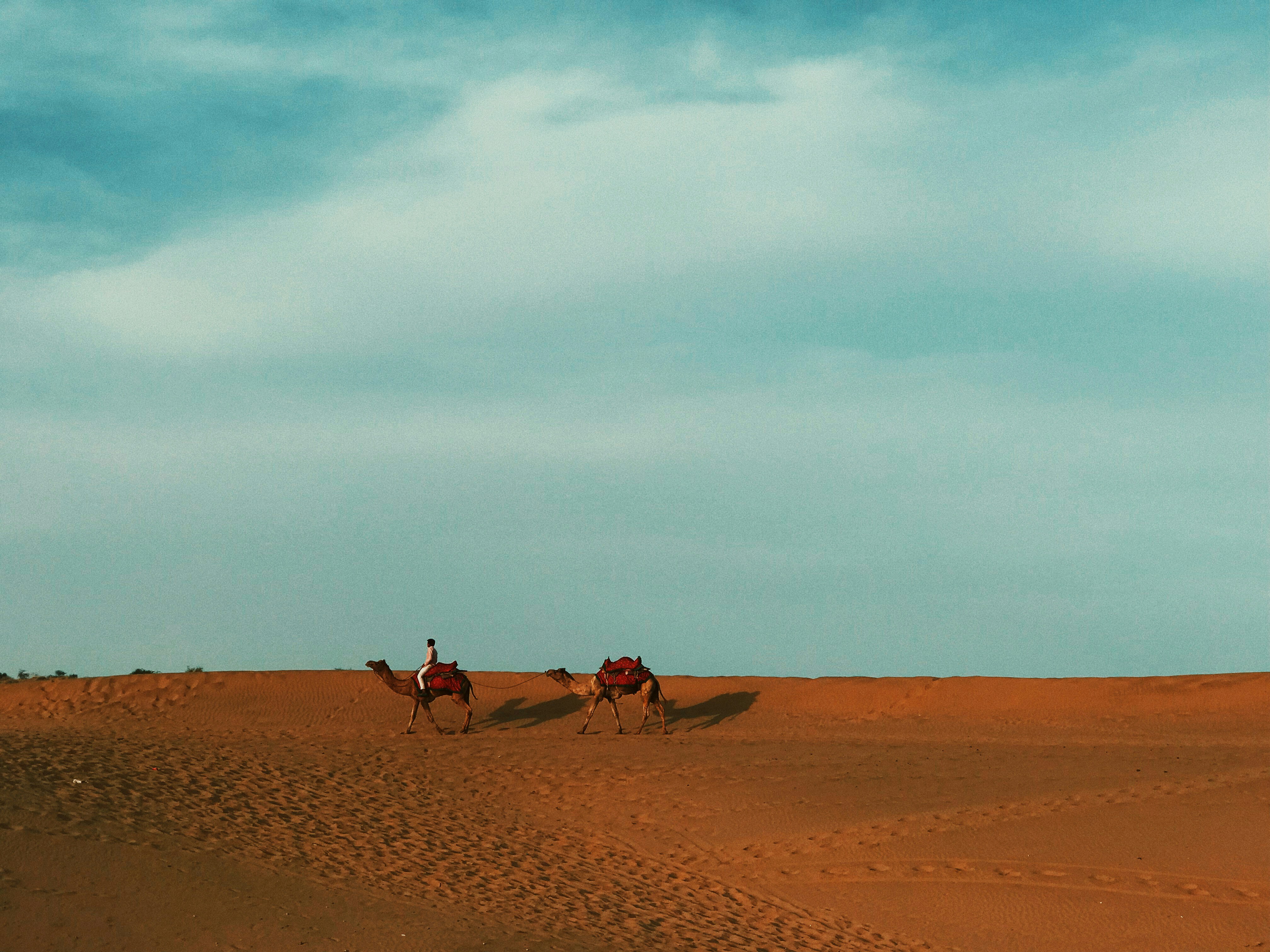 Photo by ivyaralianizar