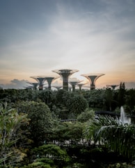 green trees and plants under cloudy sky during daytime