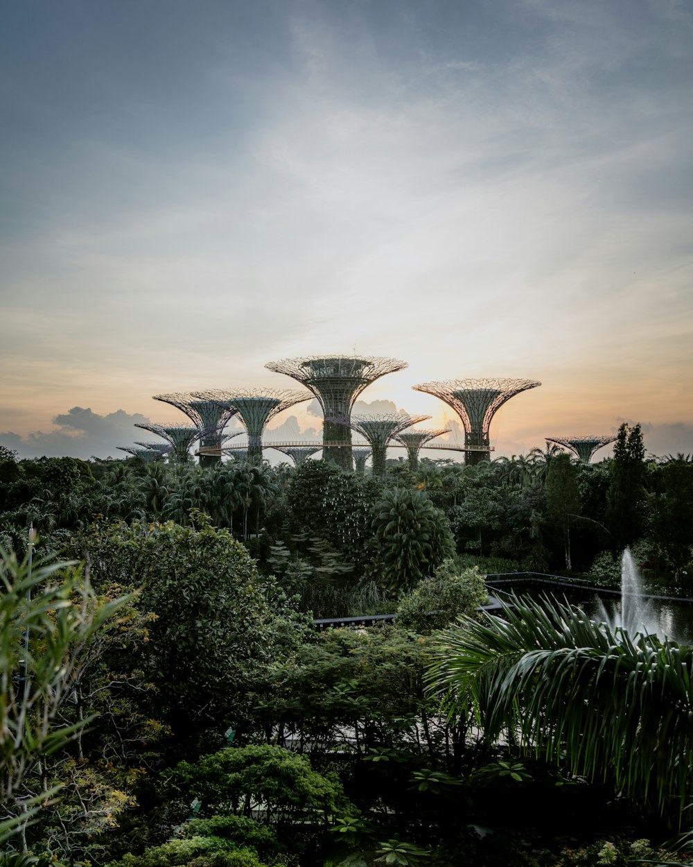 green trees and plants under cloudy sky during daytime