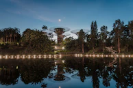 A serene in-game environment showing a futuristic city park bathed in soft cyan and purple lighting.