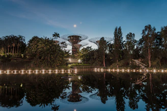 A serene in-game environment showing a futuristic city park bathed in soft cyan and purple lighting.