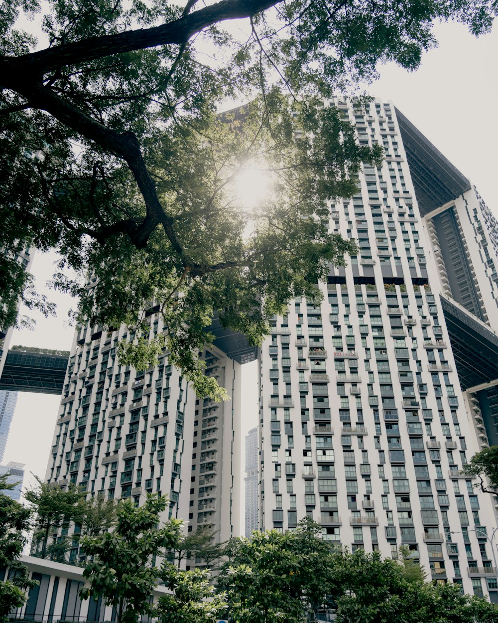 green tree beside brown concrete building during daytime