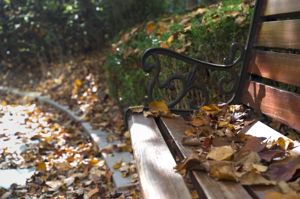 枯れ葉に囲まれた茶色の木製ベンチ