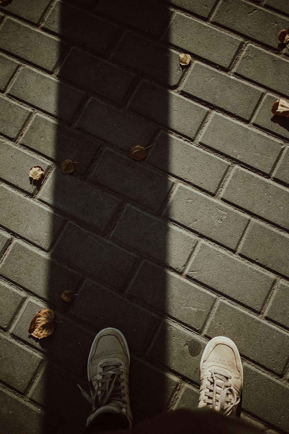 l’ombre d’une personne debout sur un trottoir de briques