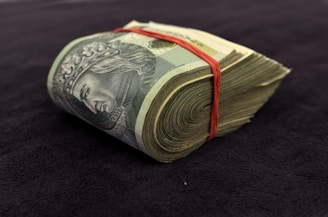 Corporate crypto cash pool structure for managing digital asset liquidity