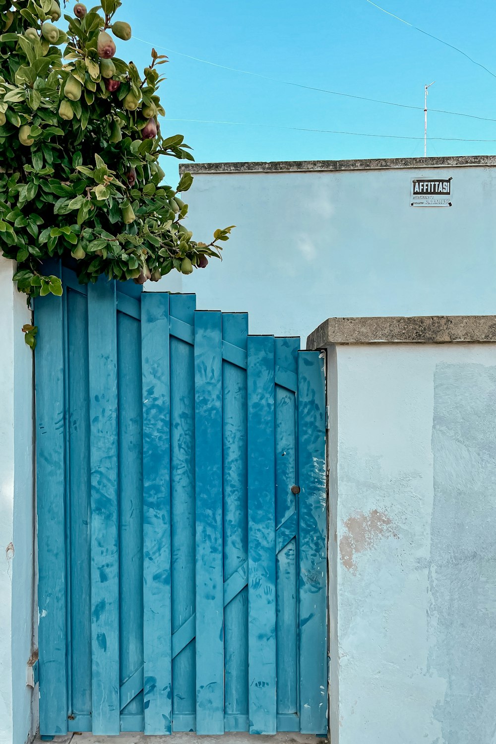 blue wooden door near green tree during daytime