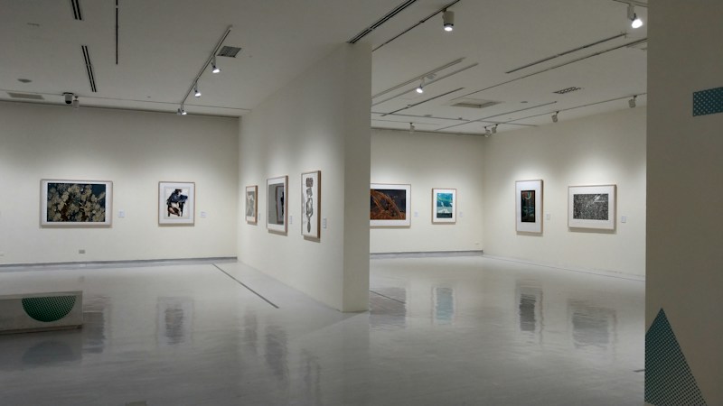 PH-Sommerausstellung Lichtungen, acht Wochen im Hinterhaus