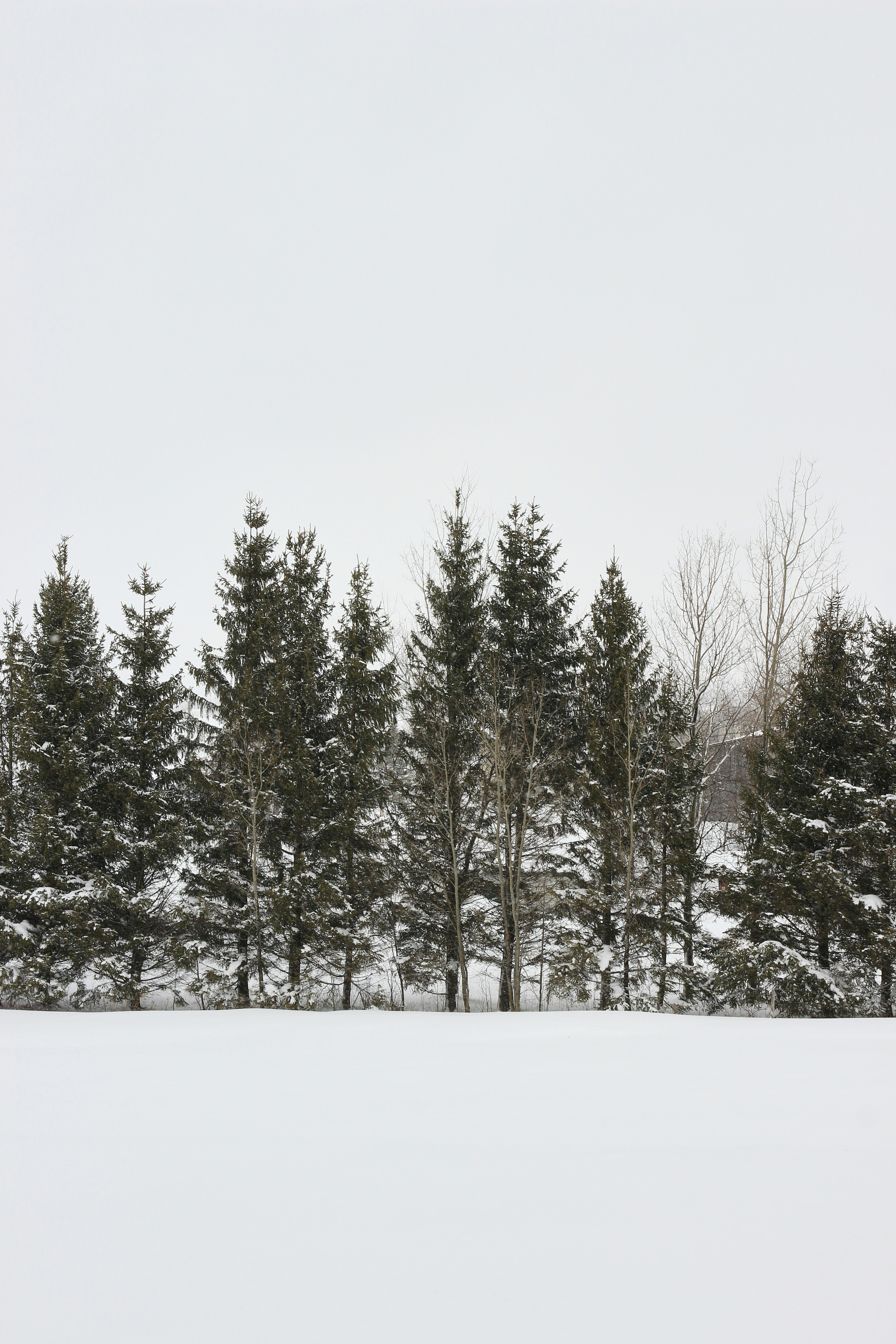 Photo by damiendufourphotographie