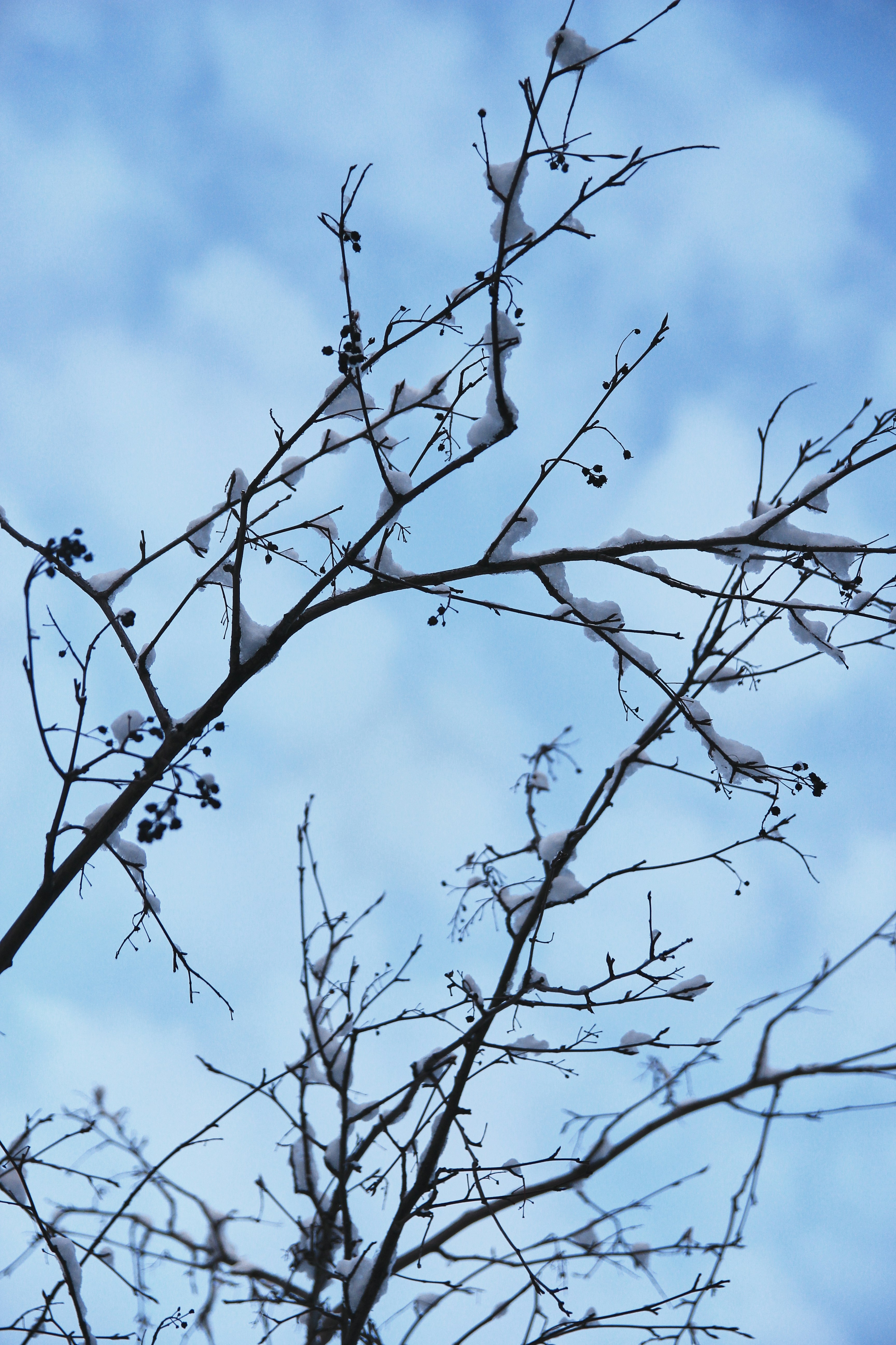 Photo by damiendufourphotographie