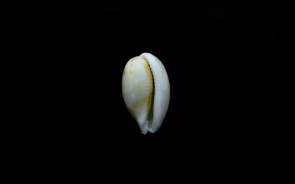 white and green round fruit