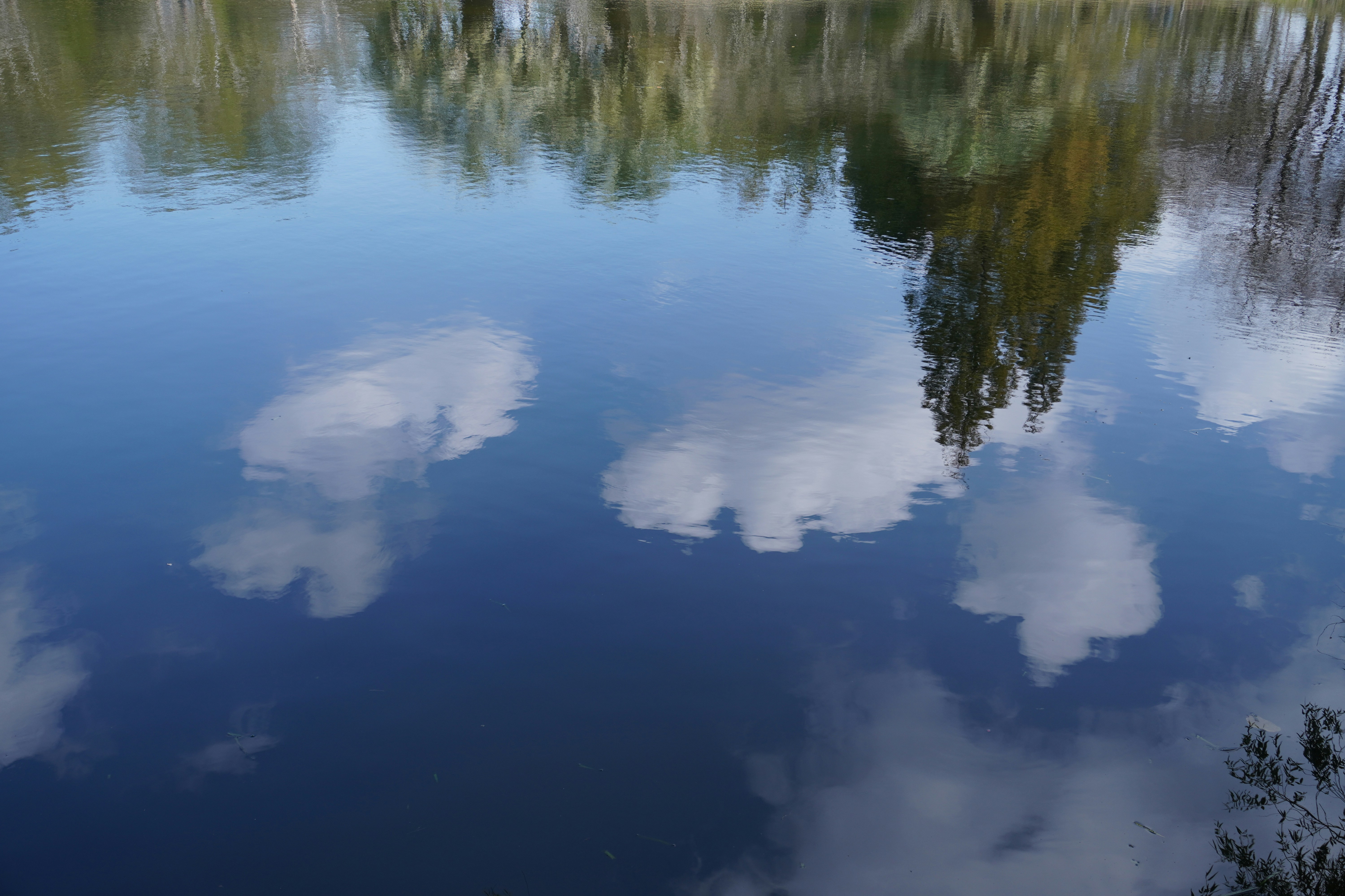 Photo by sakamotomari