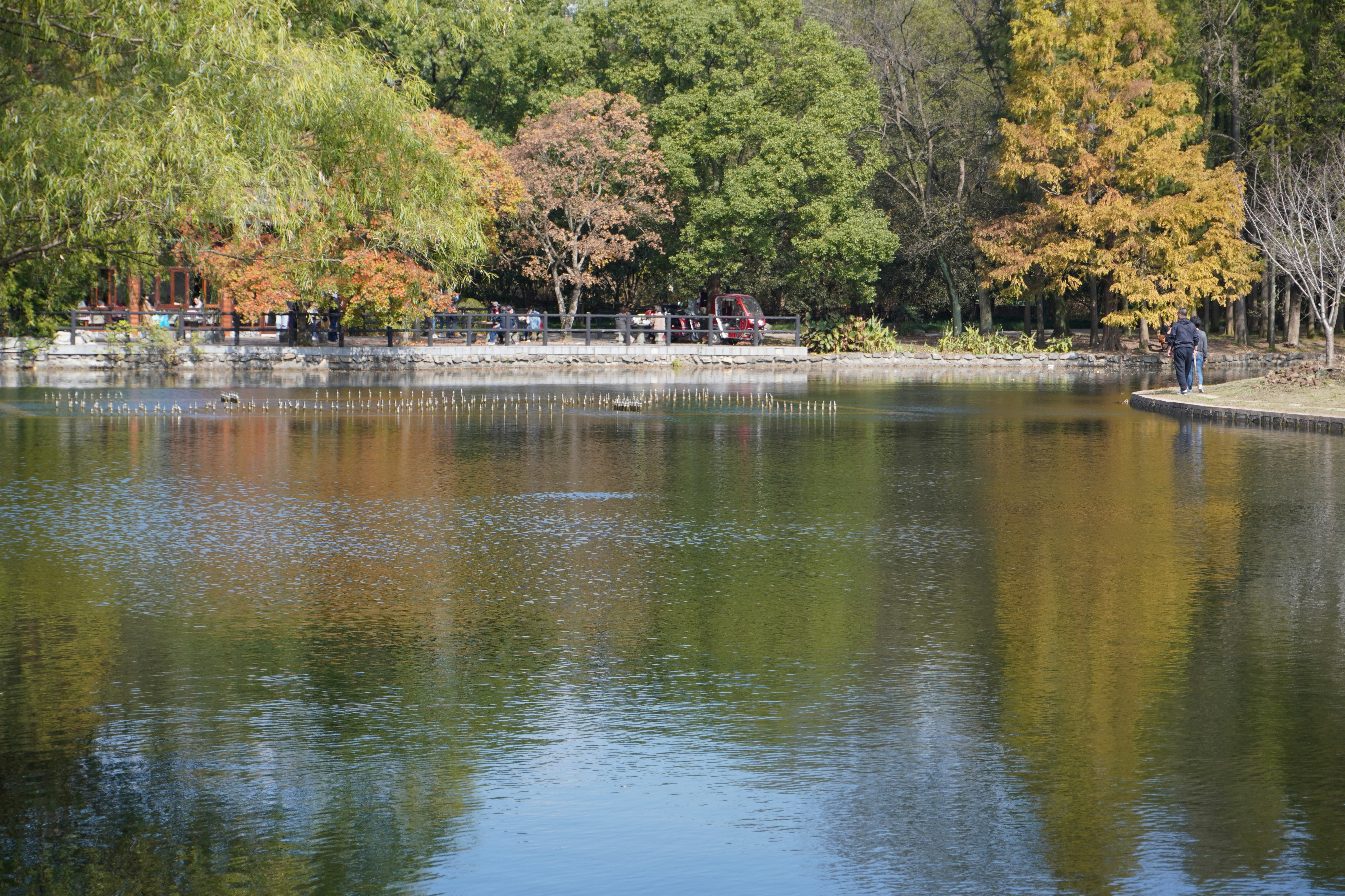 Photo by sakamotomari