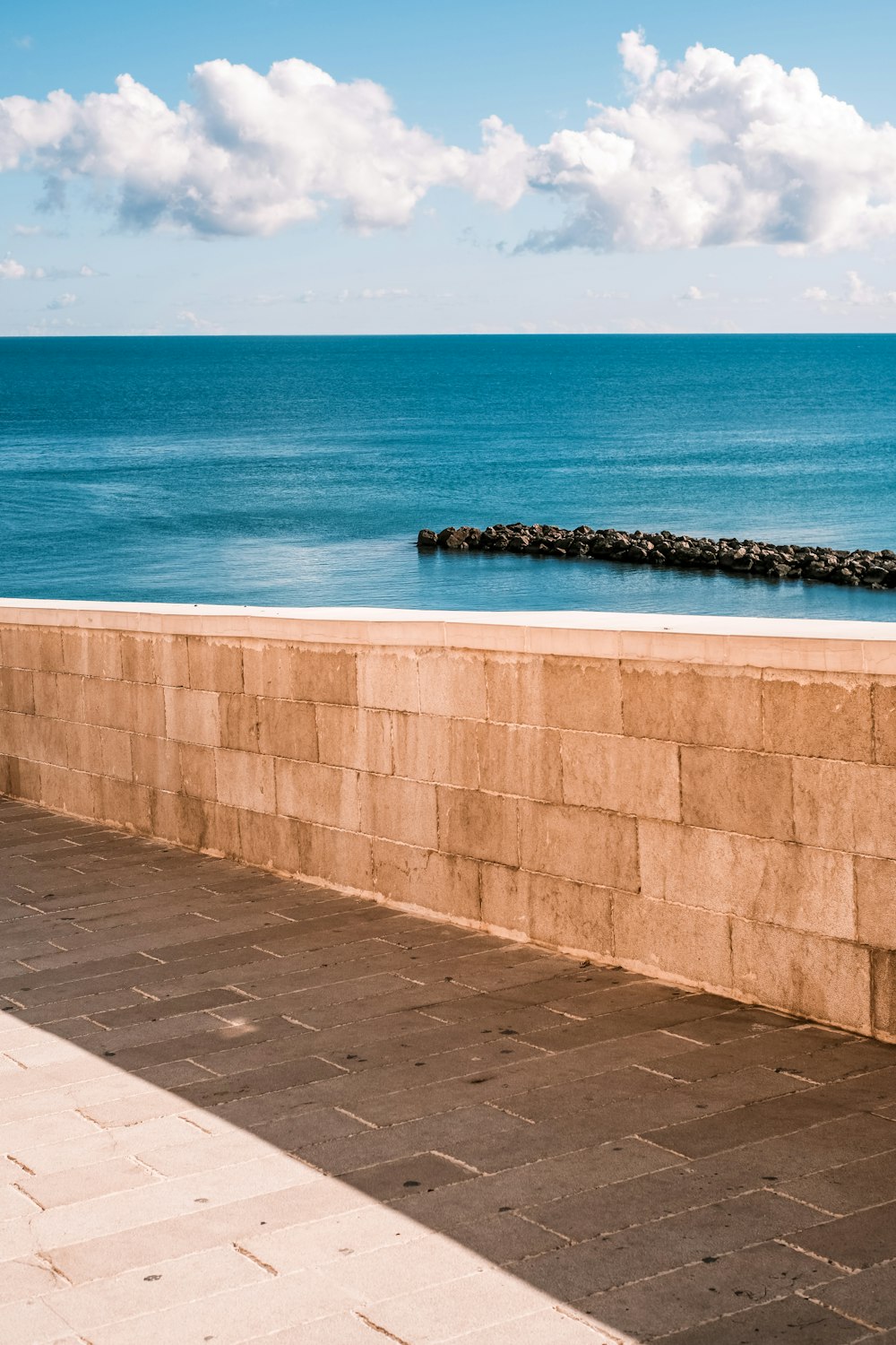 brown concrete wall near sea during daytime