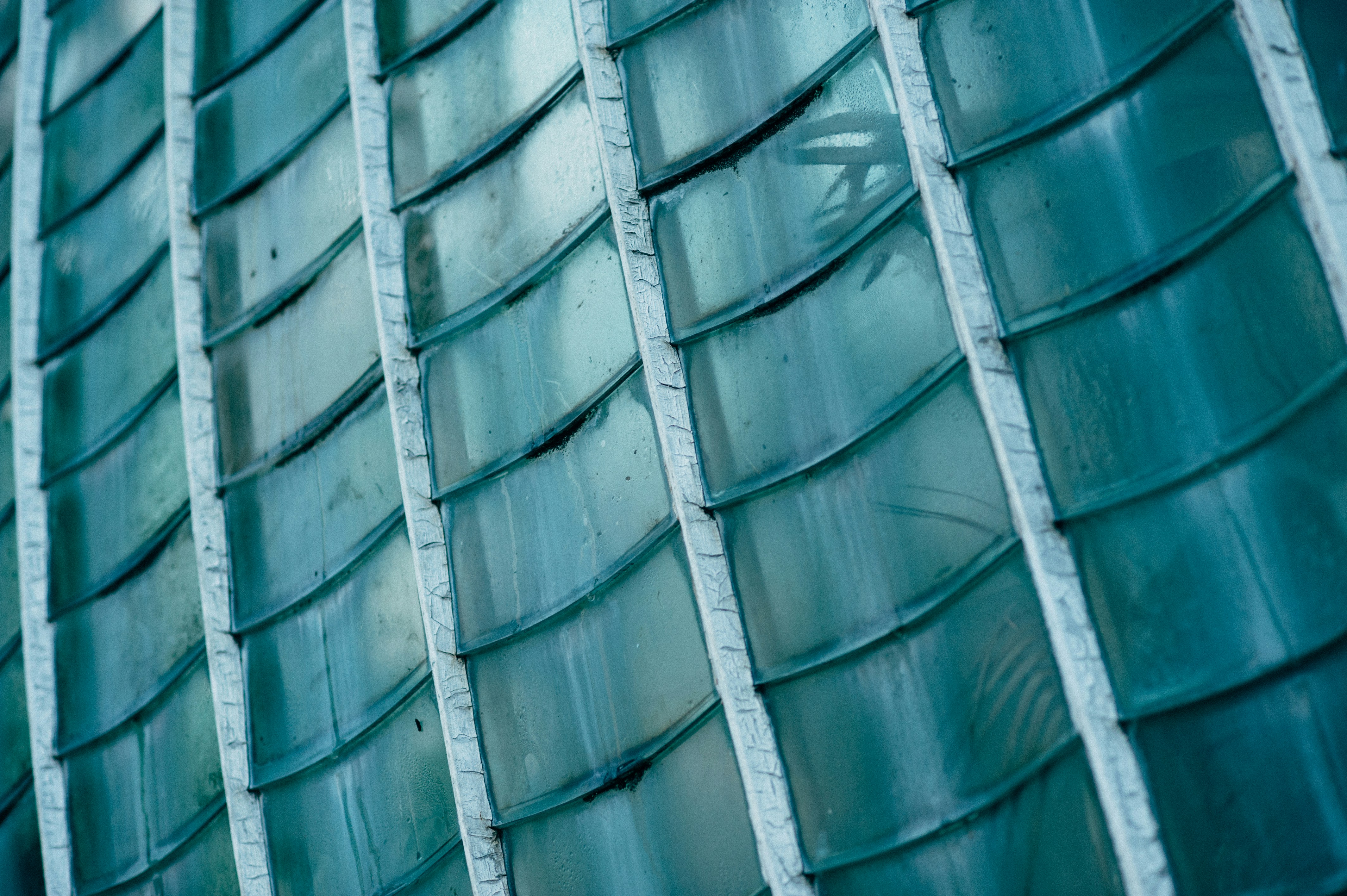 Photo by elimendeinagella