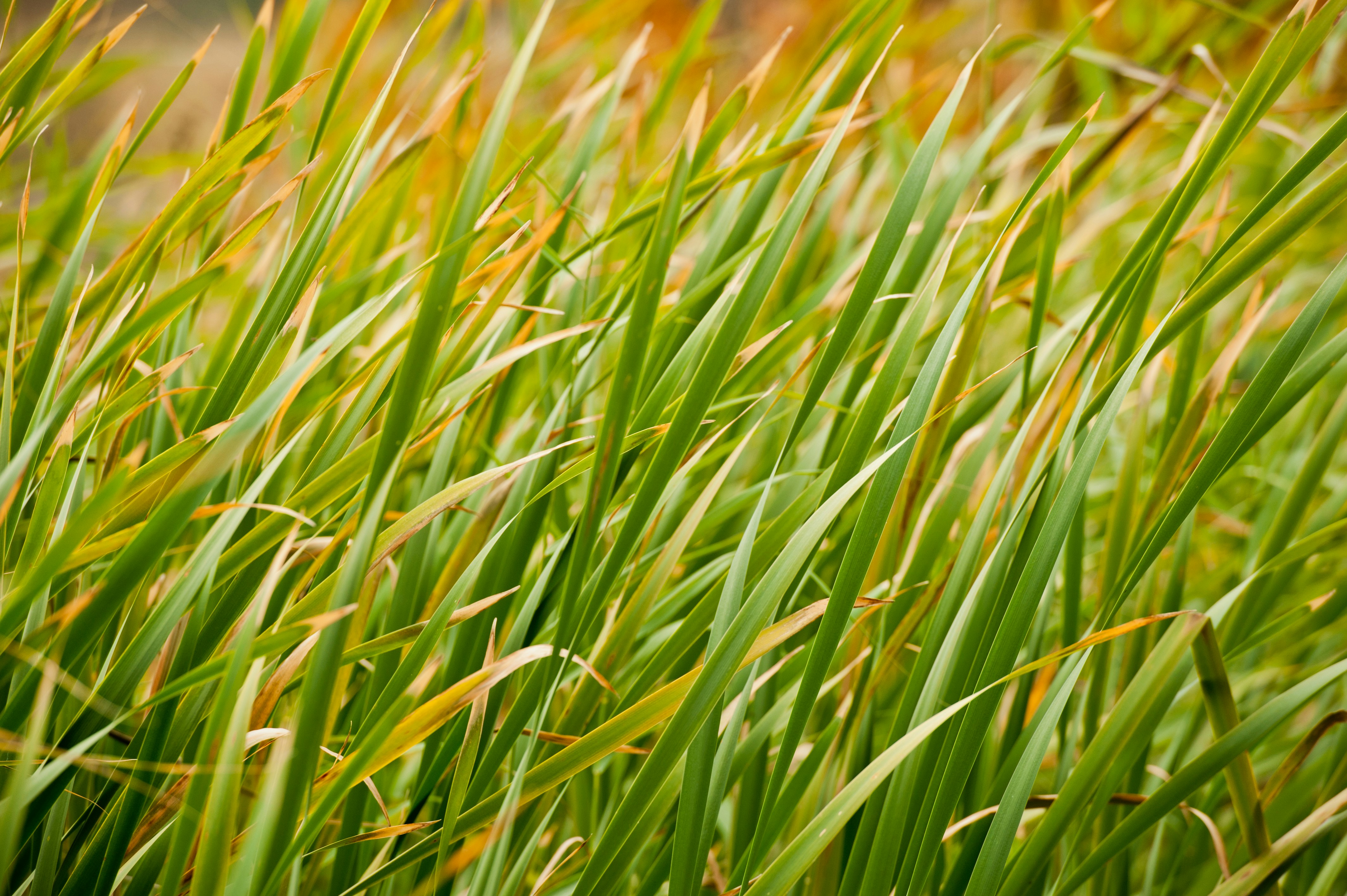 Photo by elimendeinagella