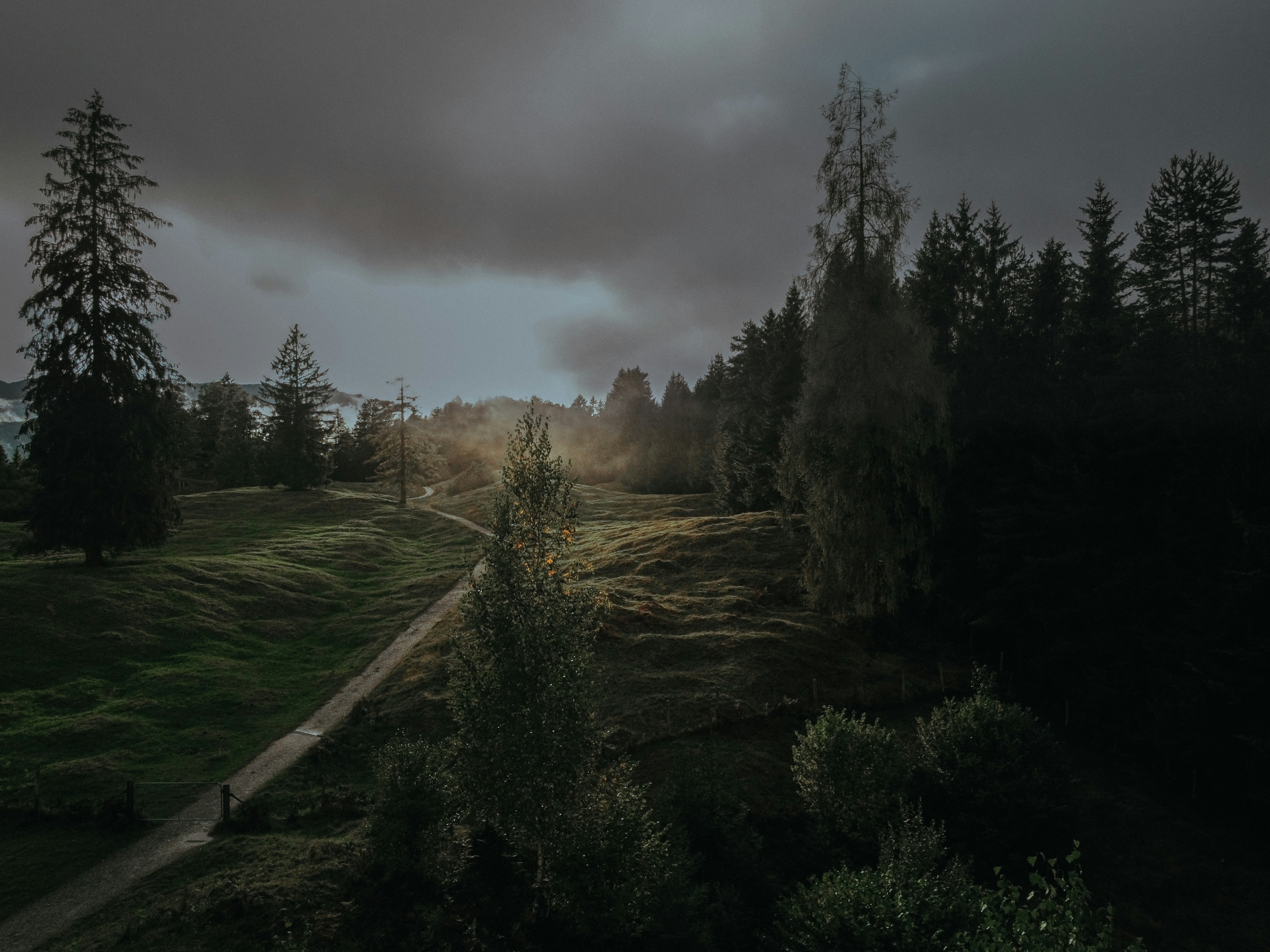 天价域名AI.com：4.85亿成交，Crypto.com布局未来AI浪潮-金点网络 - 游戏资讯|技术教程|资源分享平台