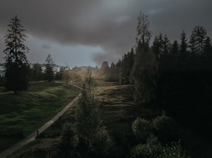 A serene landscape with a winding path leading through a forest, symbolizing a journey of faith.