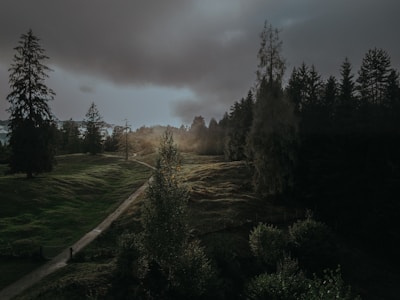 A serene landscape from an adventure game featuring lush forests and winding paths.