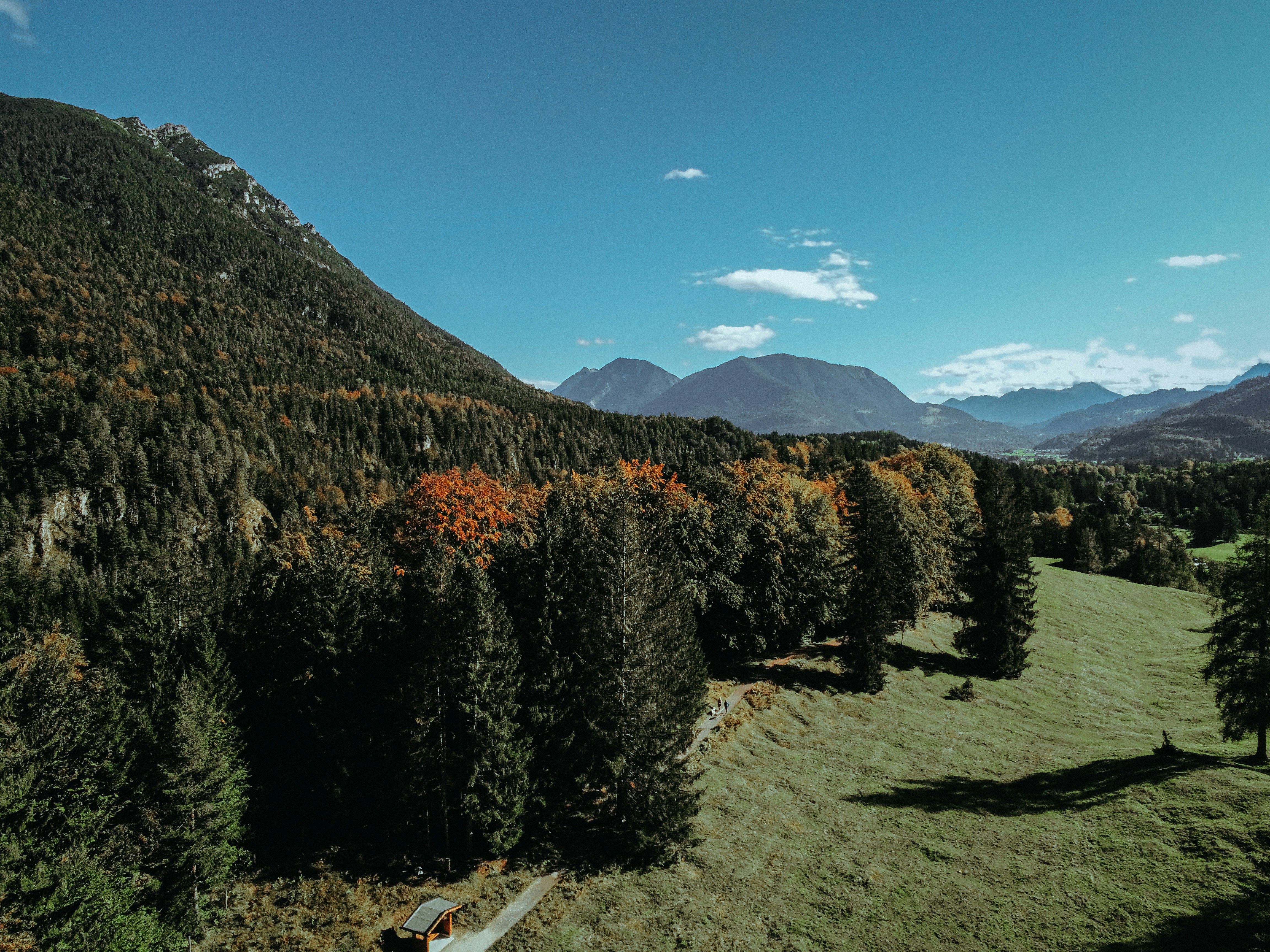 green and brown trees on green grass field near mountain under blue sky during daytime