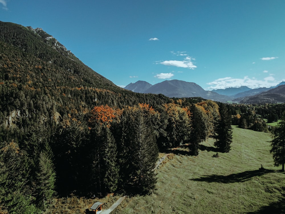 green and brown trees on green grass field near mountain under blue sky during daytime