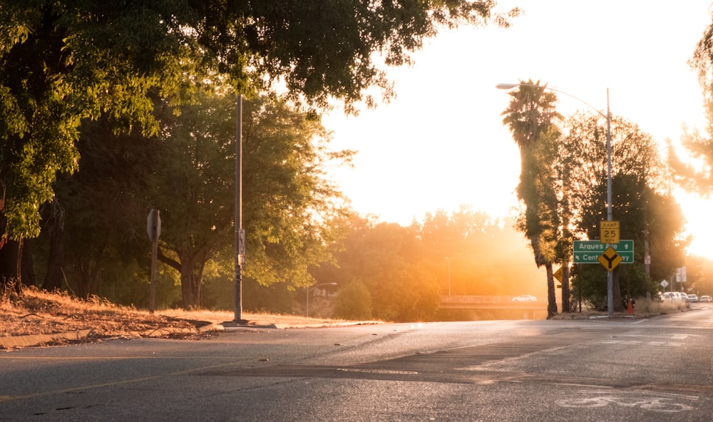 gray concrete road with trees on side during sunset