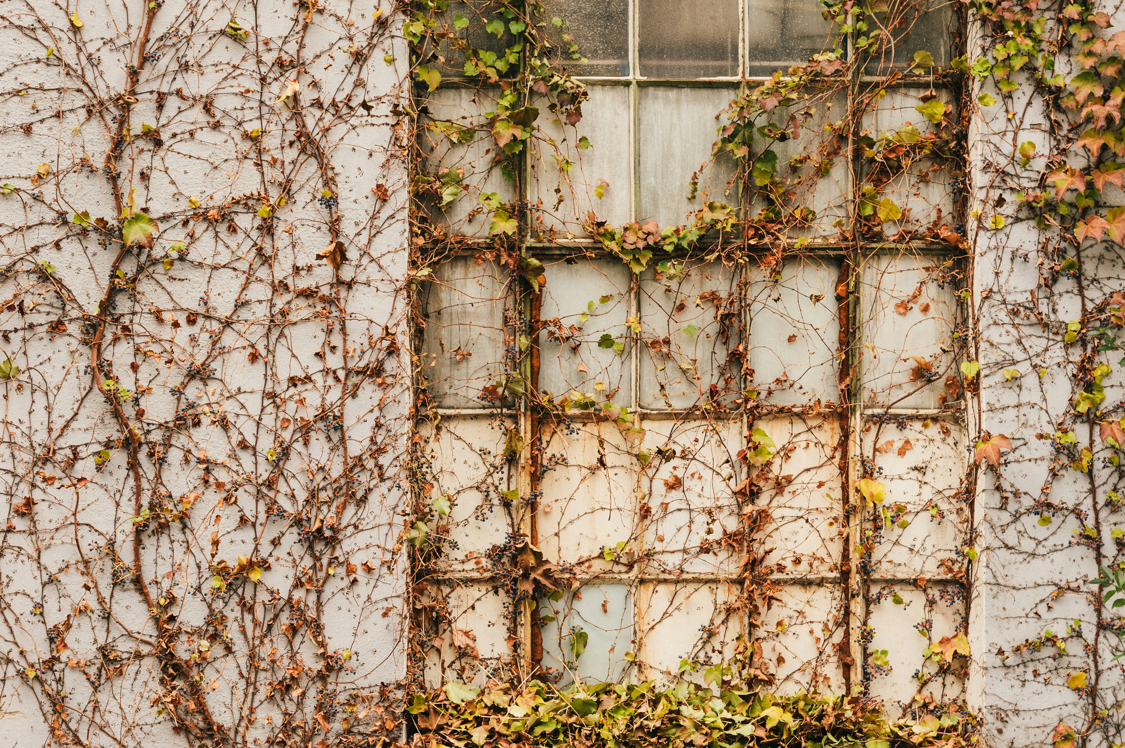 Photo by elimendeinagella