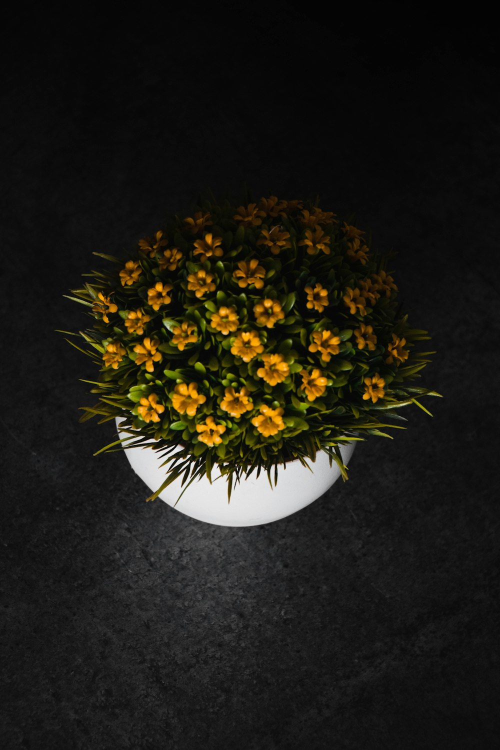 yellow and green flower on white round vase