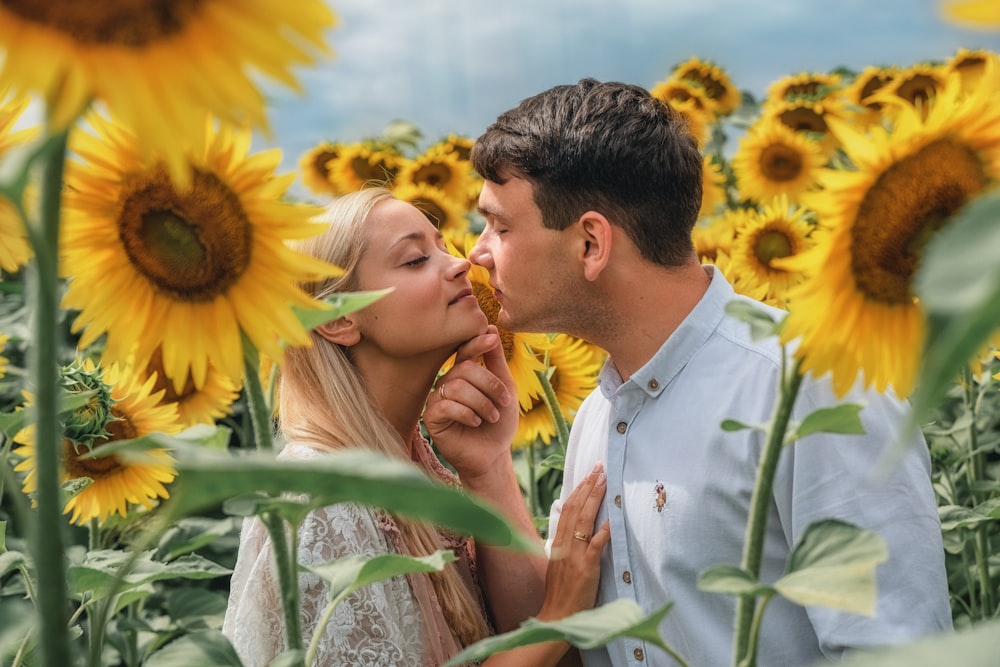 man in white dress shirt kissing woman in yellow sunflower field during daytime