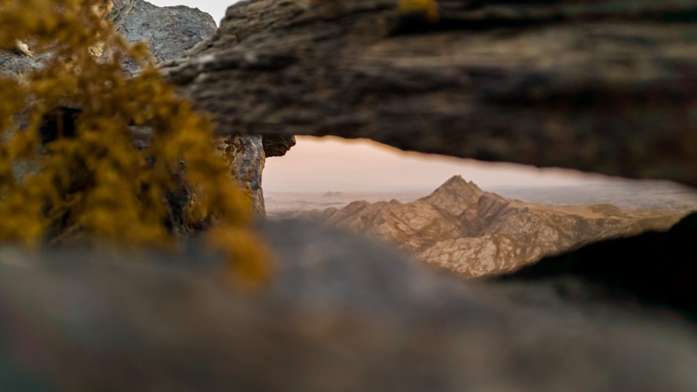 brown rock formation during daytime