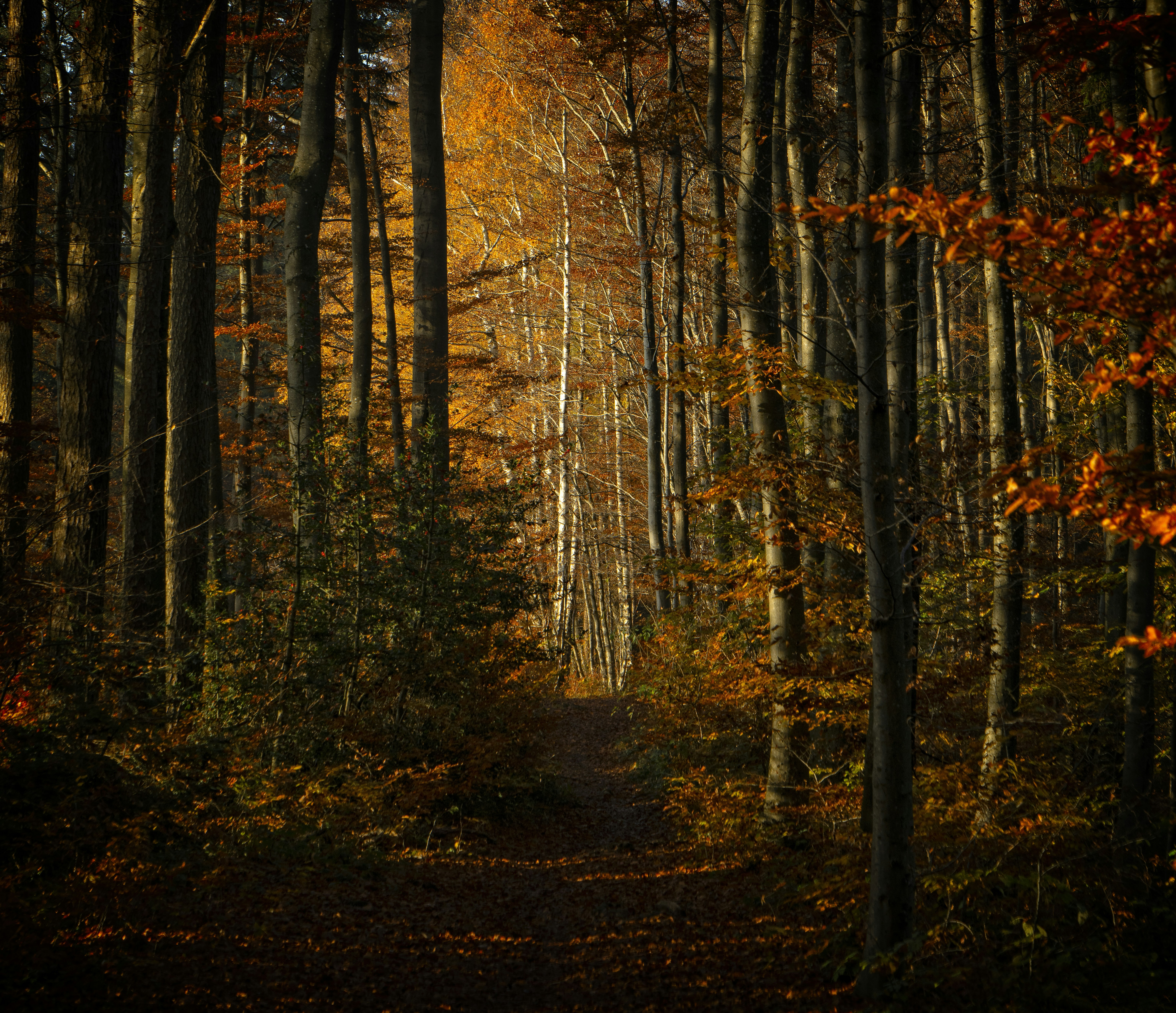 Photo by rgaleriacom