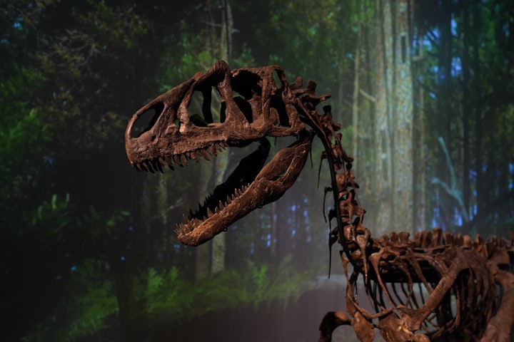 a dinasaur skeleton