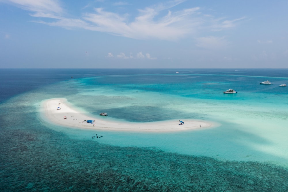 people swimming on sea during daytime