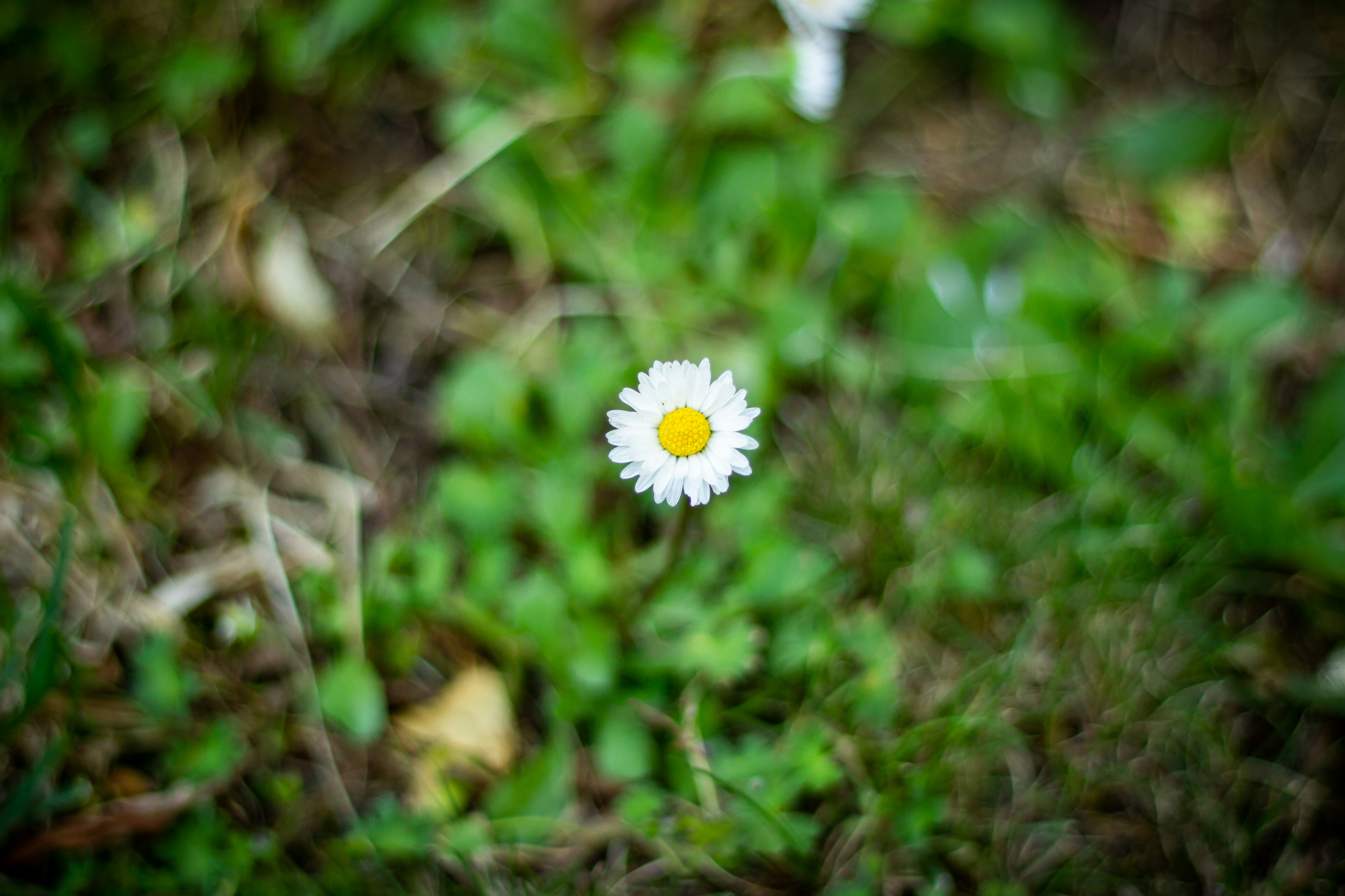 Photo by bildflickan