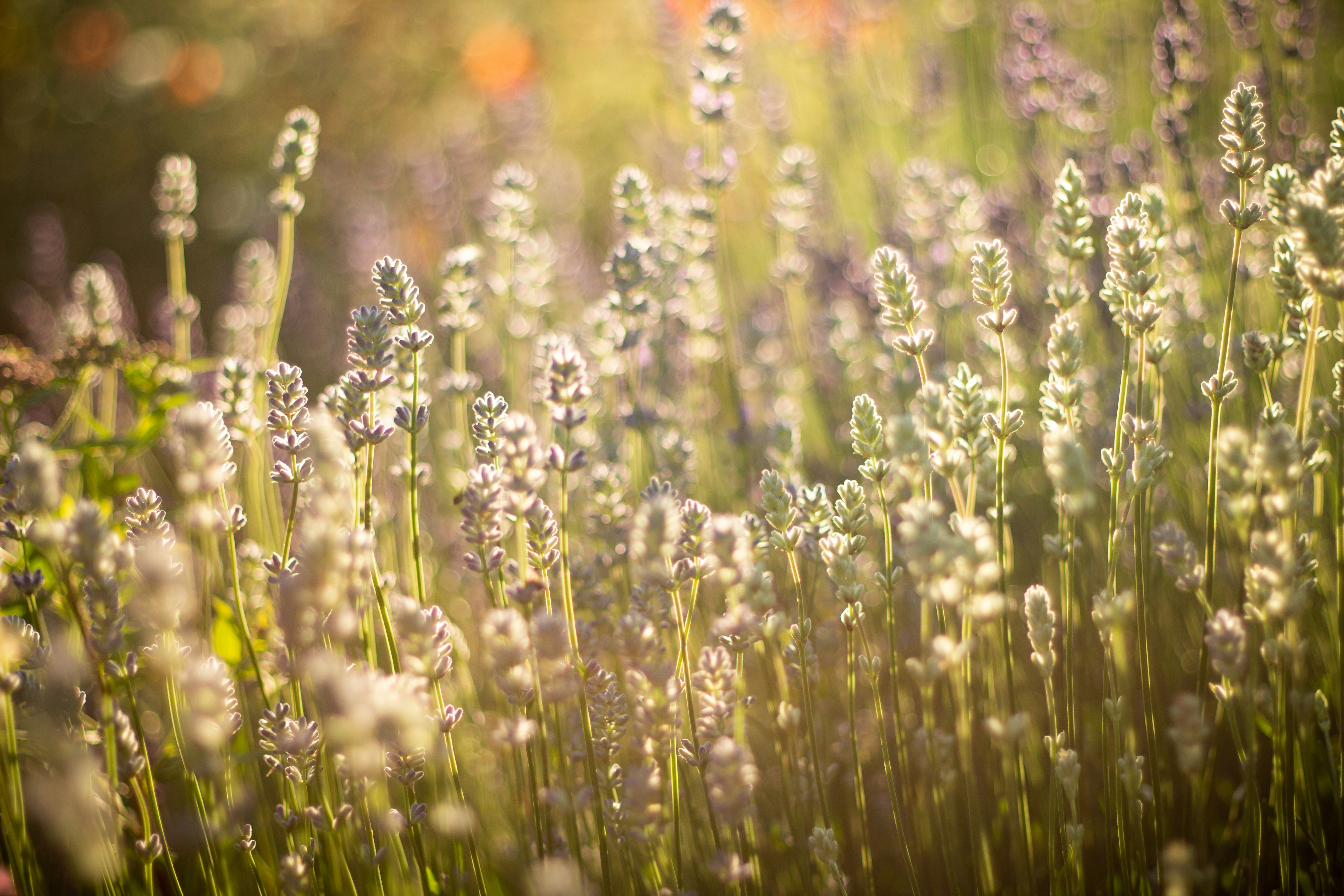 Photo by bildflickan