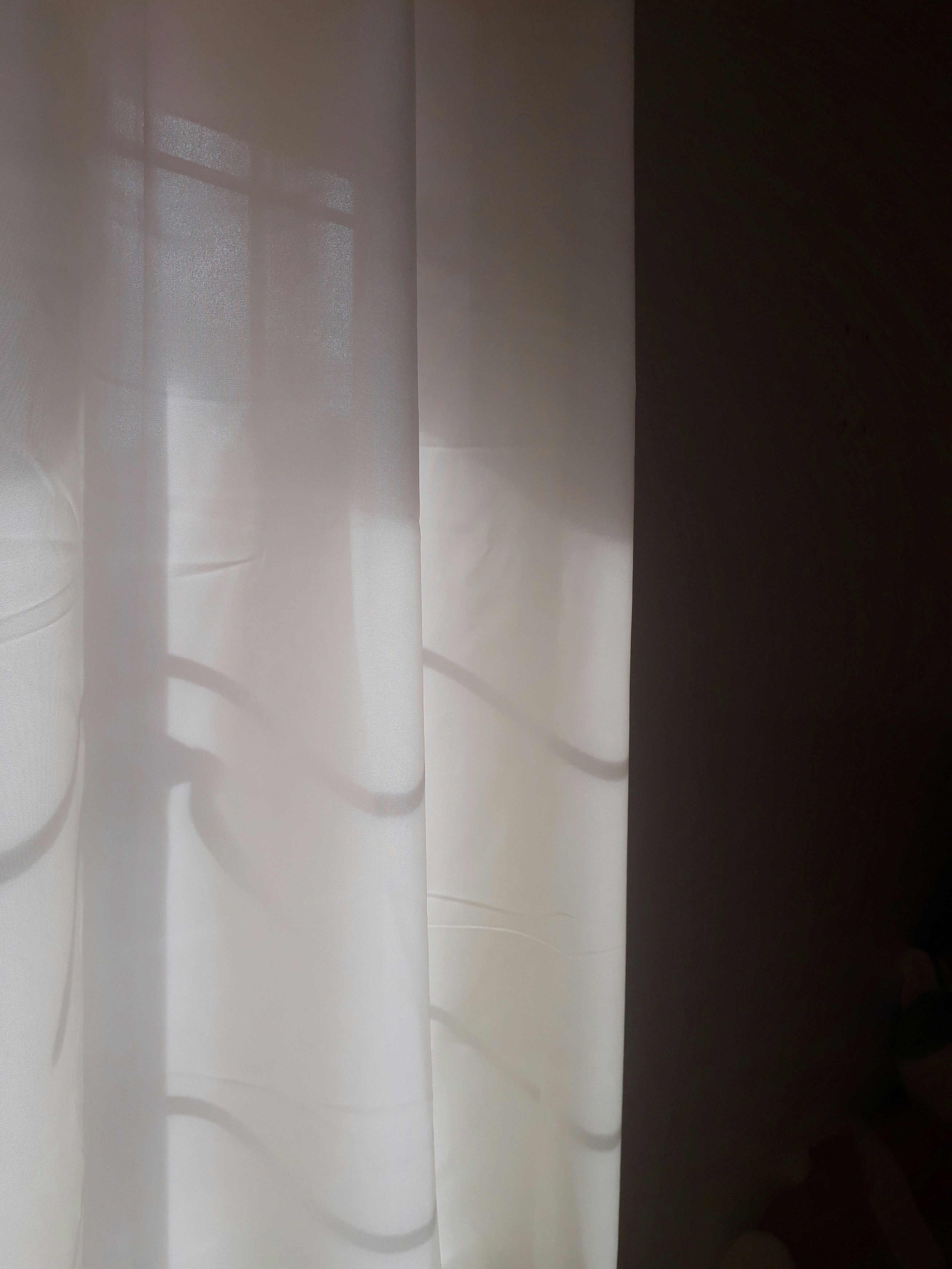 Photo by andallthings