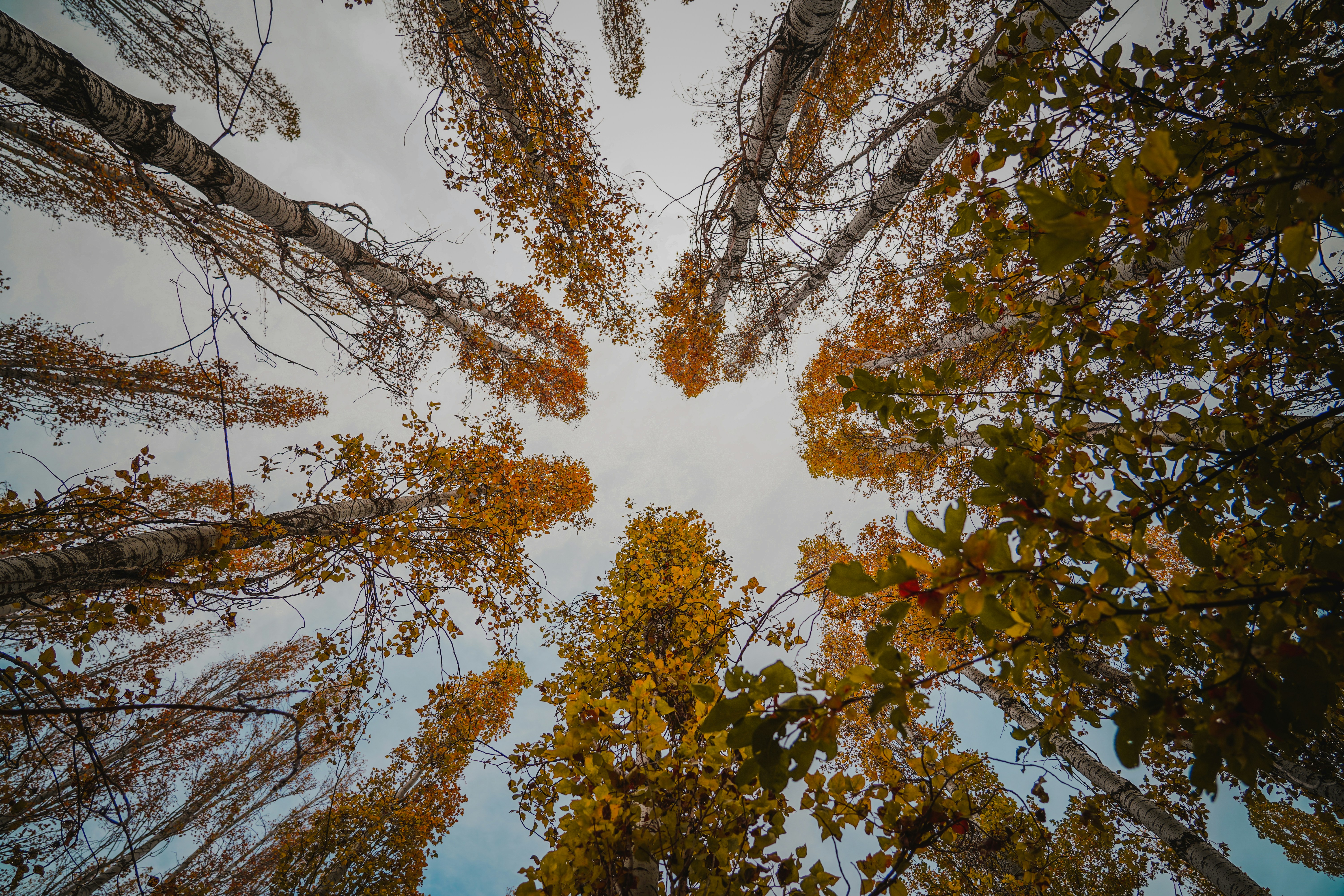 Photo by kiarash_mansouri