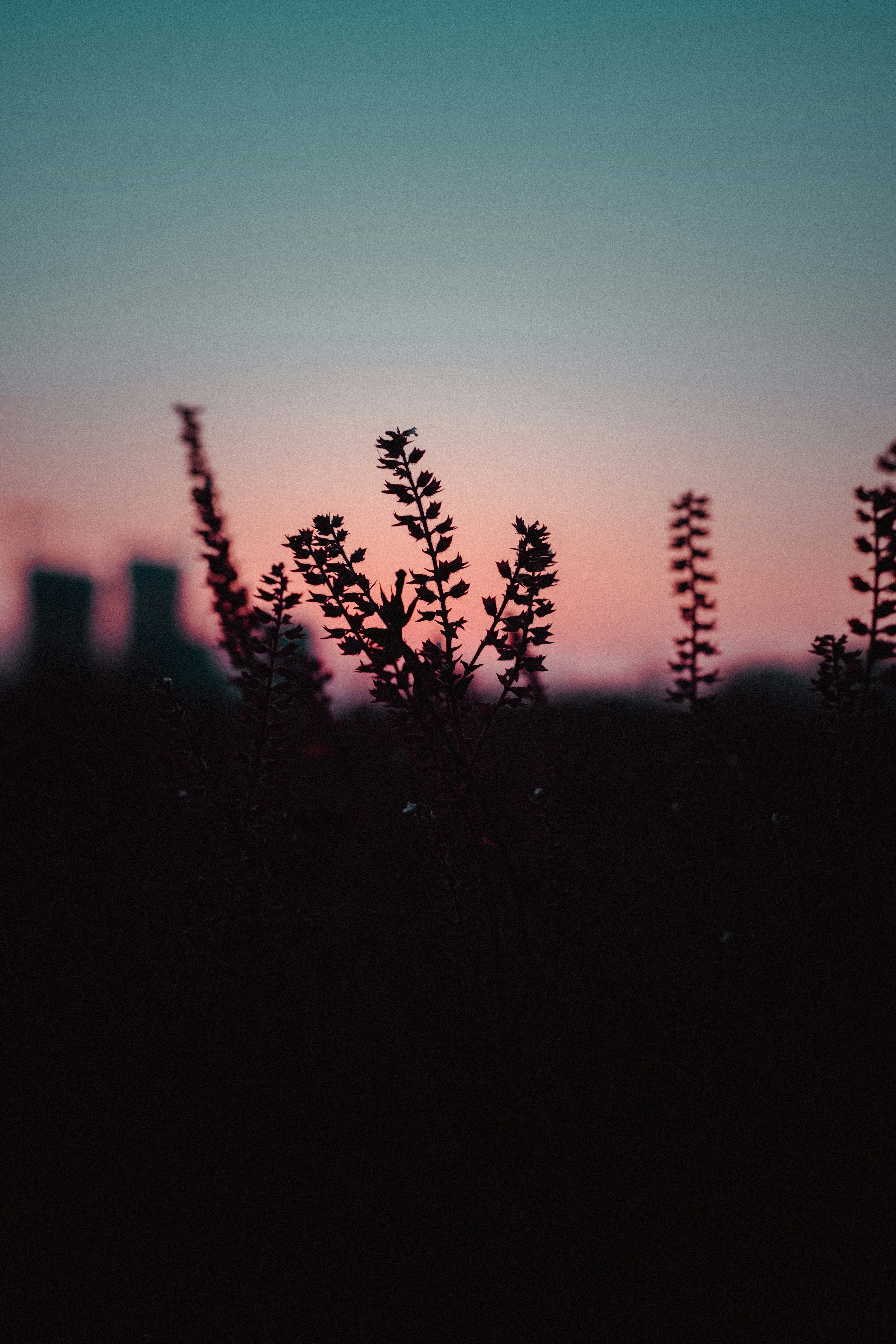 Photo by xiexianghua