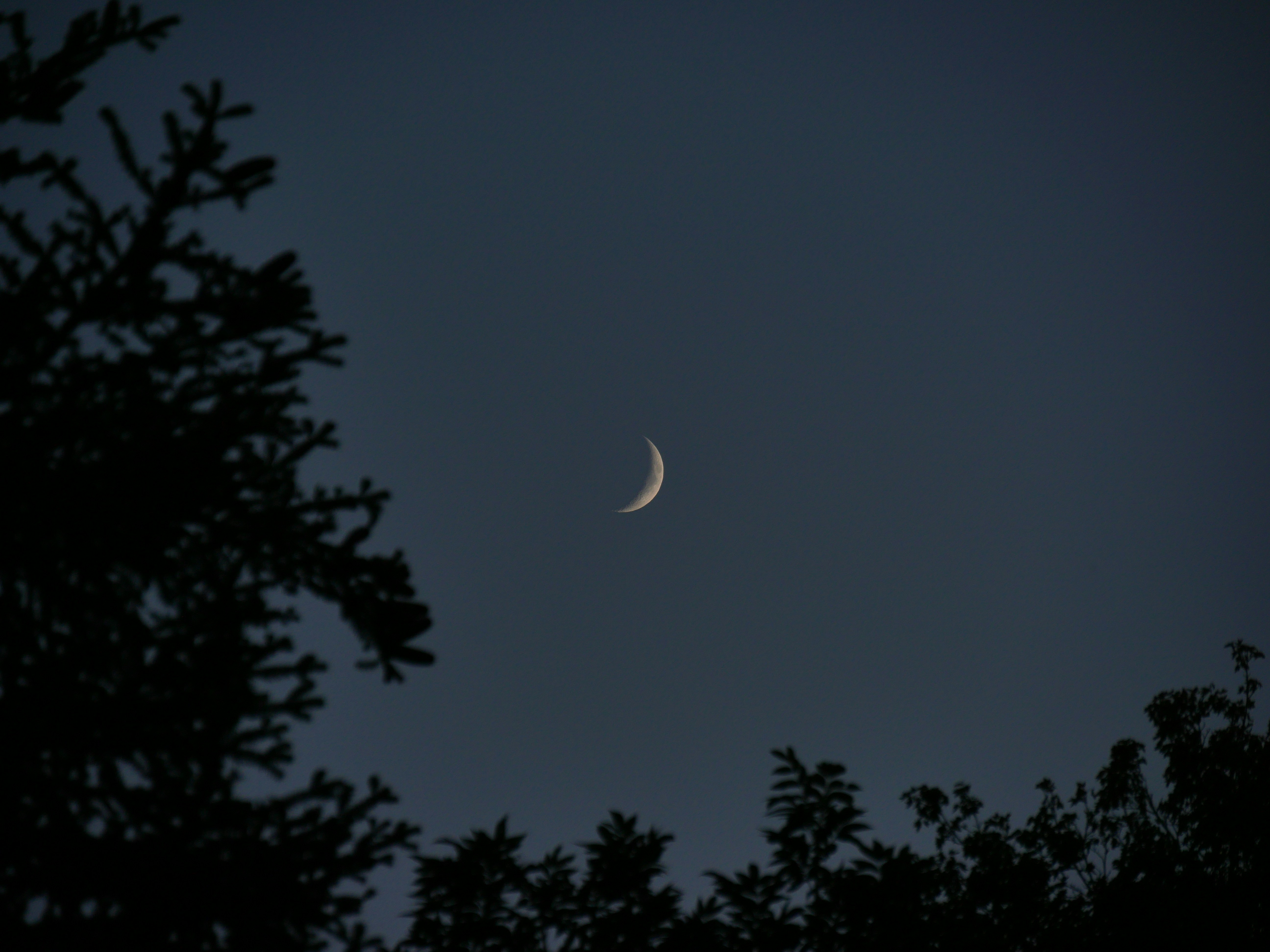 Photo by nimbus_vulpis