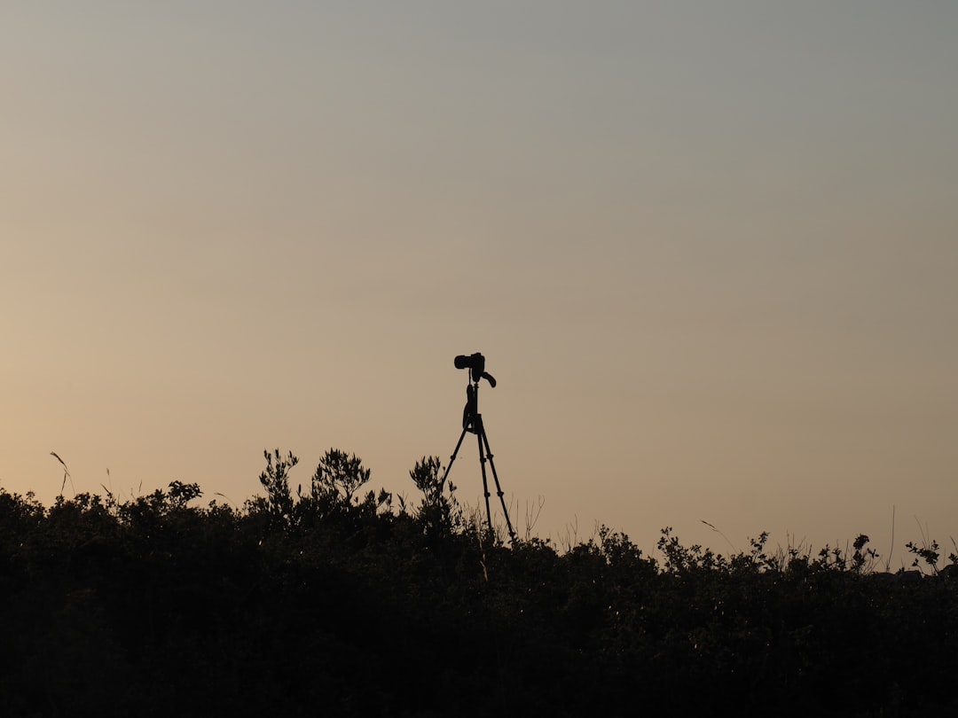 silhouette of person standing on grass field during sunset